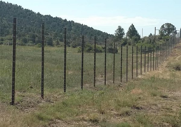 Dawson Cemetery  Restoration 2019