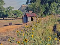 THS5884  Old Dawson pump house along where the railroad tracks used to run.